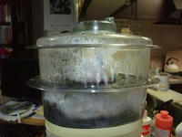 DSCF1731400.jpg
