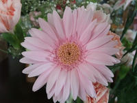 DSCF1716400.jpg