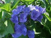 DSCF1757400.jpg