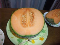 DSCF1876400.jpg