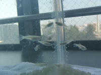 DSCF2022400.jpg