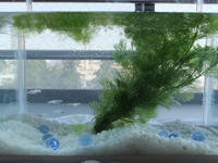 DSCF2023400.jpg
