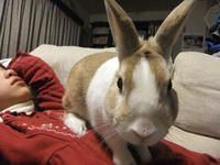 DSCF2173400.jpg