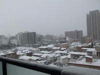 DSCF2355400.jpg
