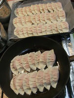 DSCF2360400.jpg