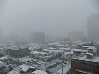 DSCF2611400.jpg