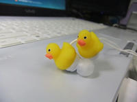 DSCF2685400.jpg