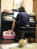 DSCF2718400.jpg