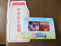 DSCF2802400.jpg