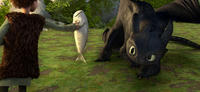 dragon_01__V186844366_.jpg