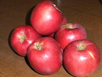 DSCF3584400.jpg