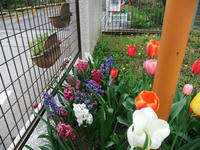 DSCF4016400.jpg