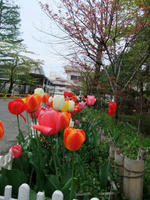DSCF4012400.jpg