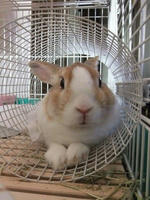 DSCF4642400.jpg