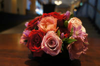 DSC007091024.jpg