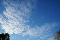 DSC007161024.jpg