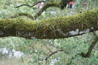 DSC008041024.jpg