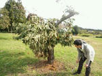 20111003_133236.jpg