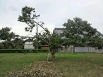 20111003_133405.jpg