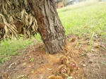 20111003_133633.jpg