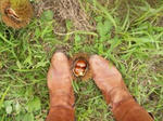20111003_133553.jpg