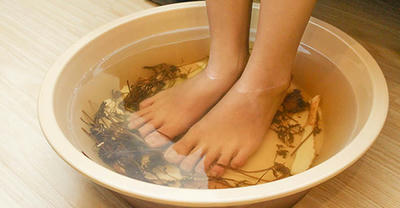 Chữa bệnh gout hiệu quả bằng lá tía tô