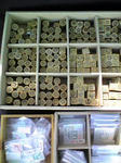 071103-morinomiyako-3.jpeg