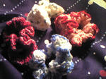 alnair-2009-01-25T05_13_49-1.jpg