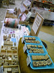 070325-dorecolle_1.jpeg