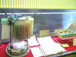 100422-taiyo_display.JPG