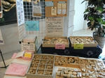 100704-matsusima01.JPG
