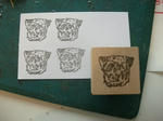 DSCF1273.JPG