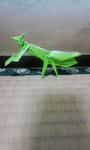 カマキリ１