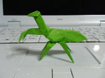カマキリ１