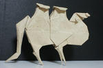 Camel１