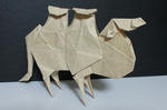 Camel２