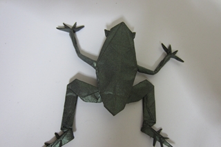 tree frog1