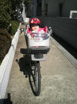 2011031313480001.jpg