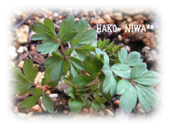20100307.jpg