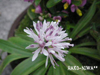 20100315.jpg