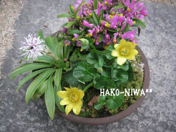20100315a.jpg