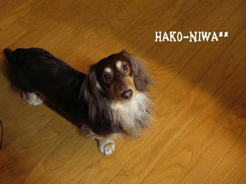 20100325a.jpg