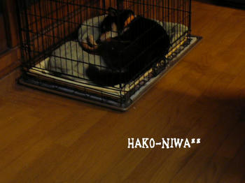 20100325b.jpg