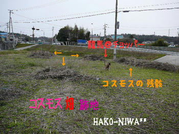 20100327a.jpg