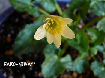 20100331a.jpg
