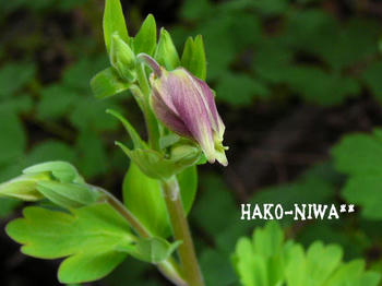20100403.jpg