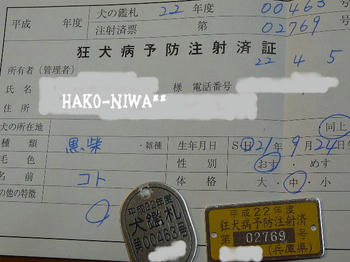 20100405.jpg