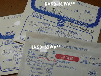 20100405a.jpg