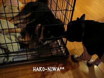 20100405b.jpg