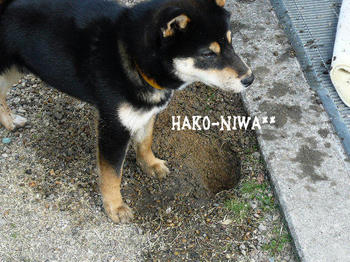 20100412a.jpg